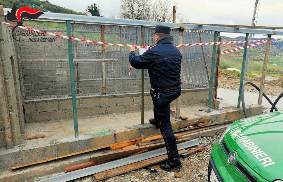 Carabinieri forestali 21