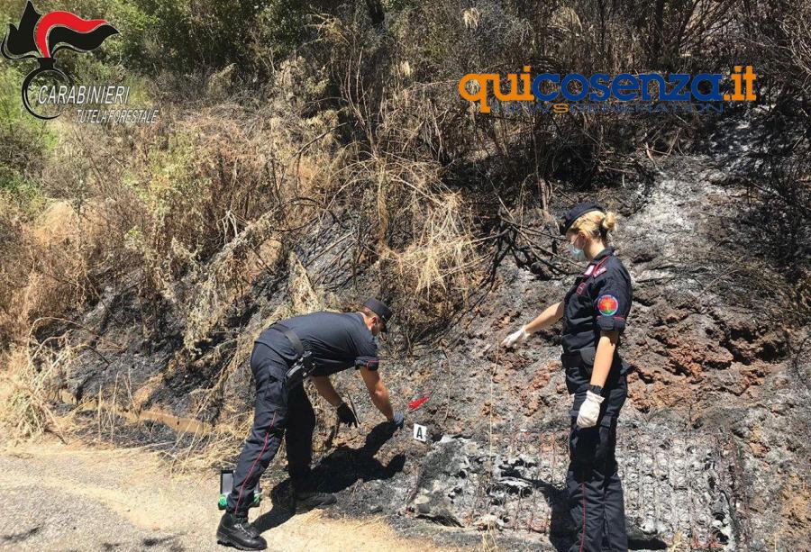 Carabinieri forestali Lattarico1