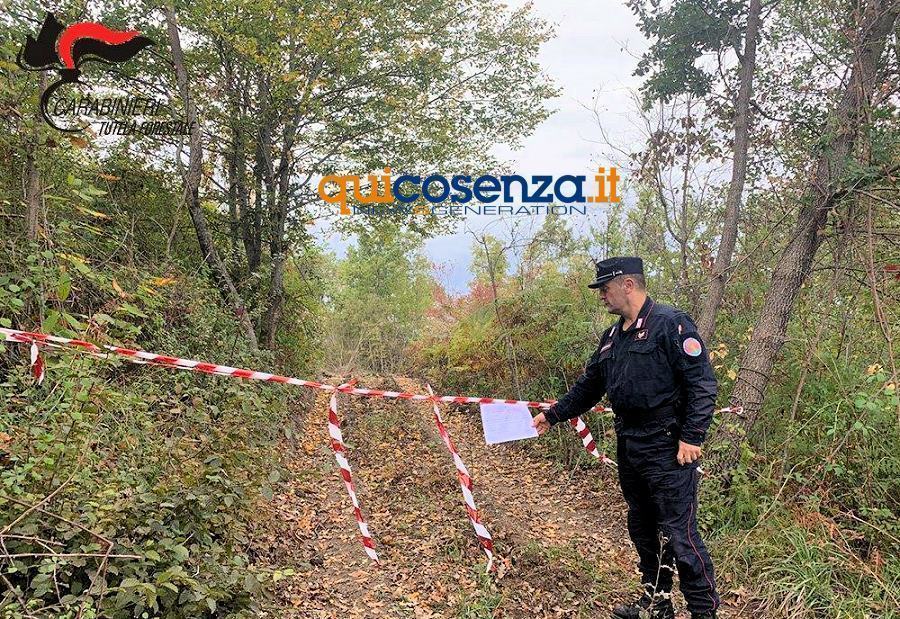 Carabinieri forestali bosco1