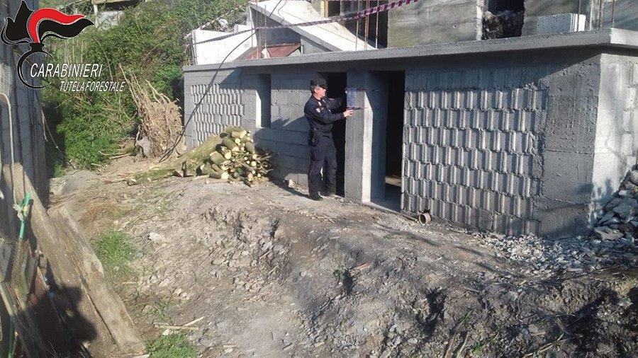 Carabinieri forestali cetraro manufatto