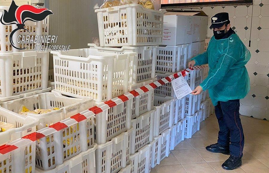 Carabinieri forestali panificazione pasta prodotti