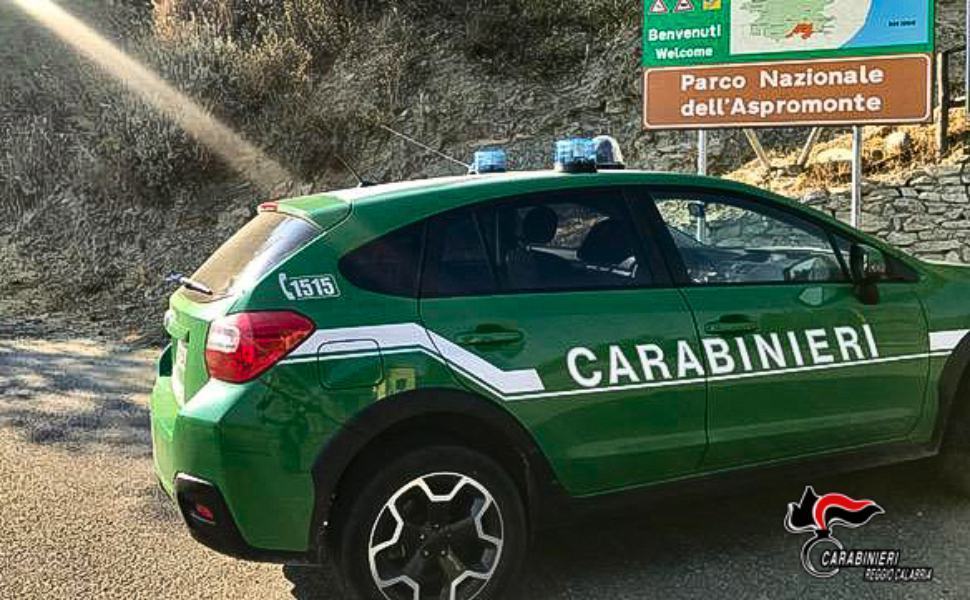 Carabinieri forestali parco Aspromonte 2