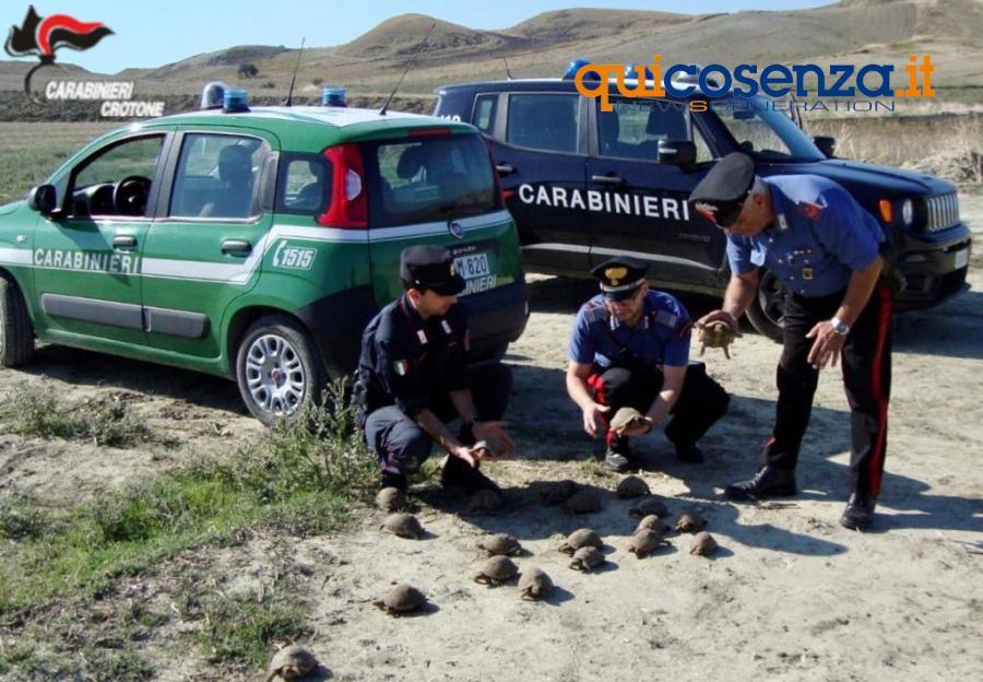 Carabinieri fotrestali testugini2