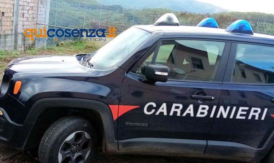 Carabinieri rogliano salvataggio 1
