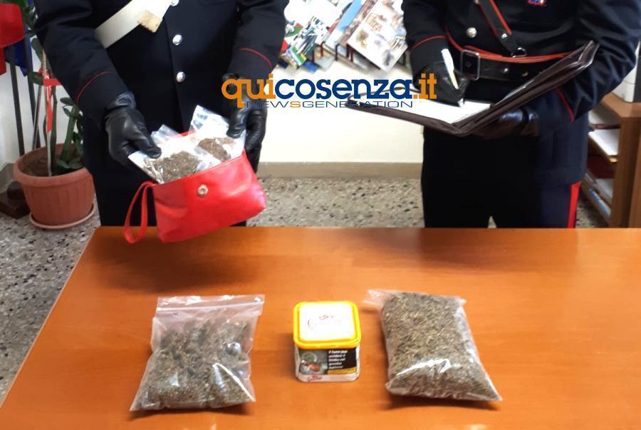 Carabinieri rogliano1