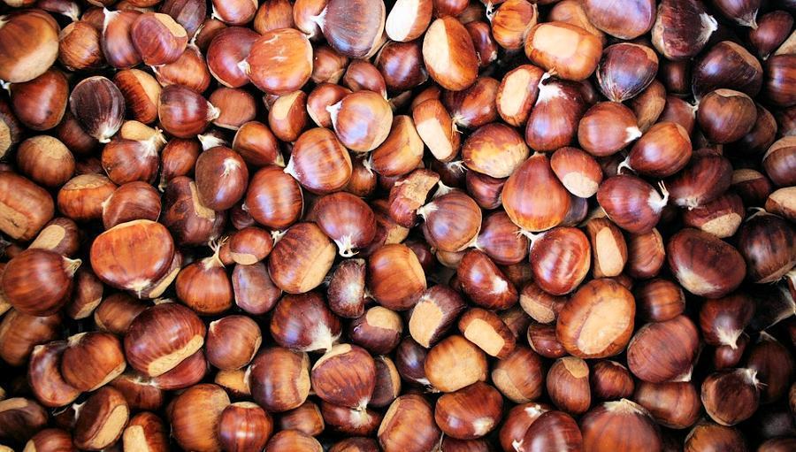 Castagne2