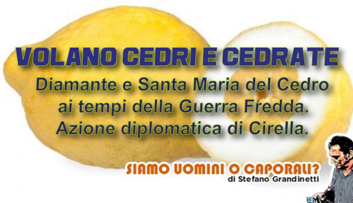 Cedro grandinetti