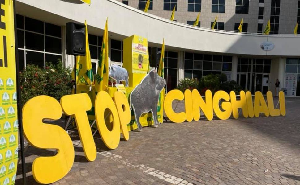 Cittadella manifestazione cinghiali 1