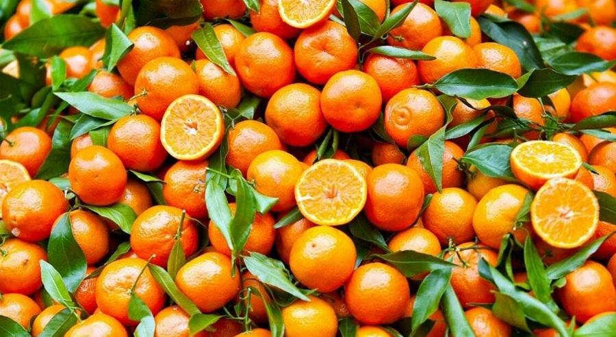Clementine 5