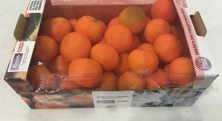 Clementine IGP Calabria ricerca Alzheimer 735x400 1