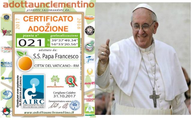 Clementine Papa