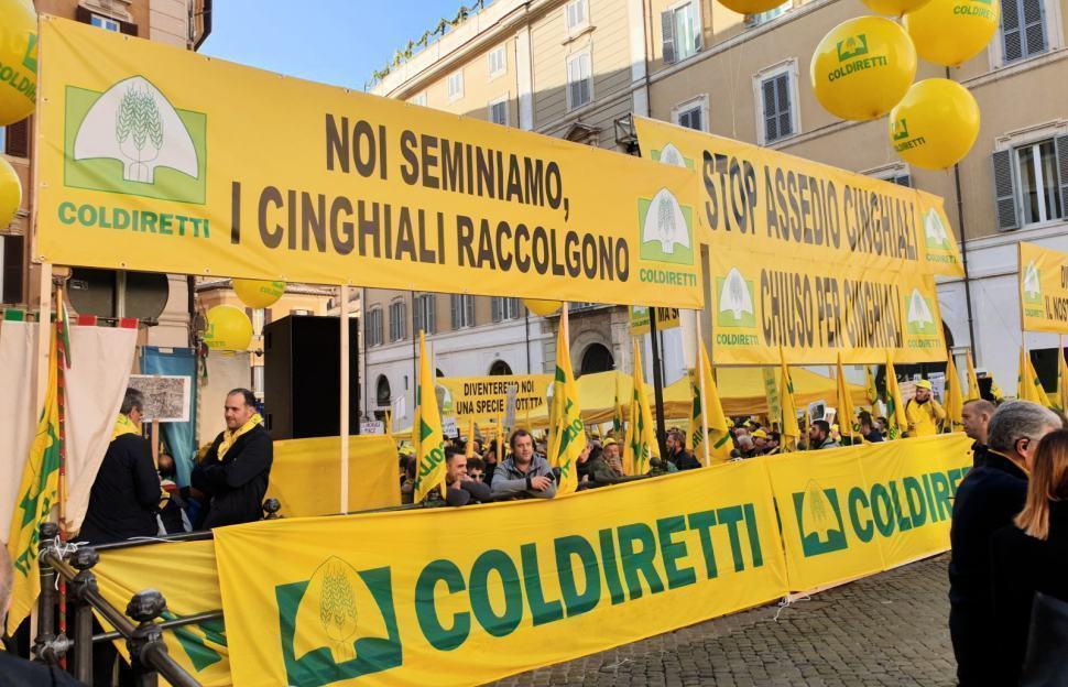 "Assedio” dei cinghiali, pratiche sleali e Fake Italy. Agricoltori in assemblea nelle province calabresi 57 Coldiretti cinghiali