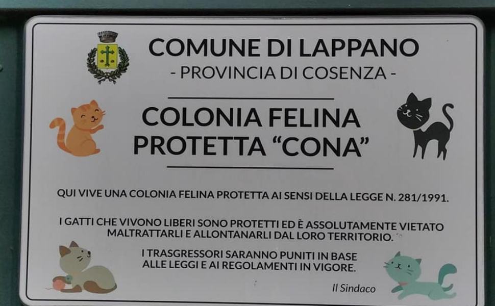 Lappano, tutore colonia felina "qualcuno spara contro i gatti, gesto efferato" 51 Colonia felina Lappano