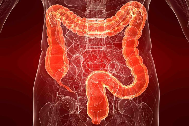 Colonscopia virtuale home