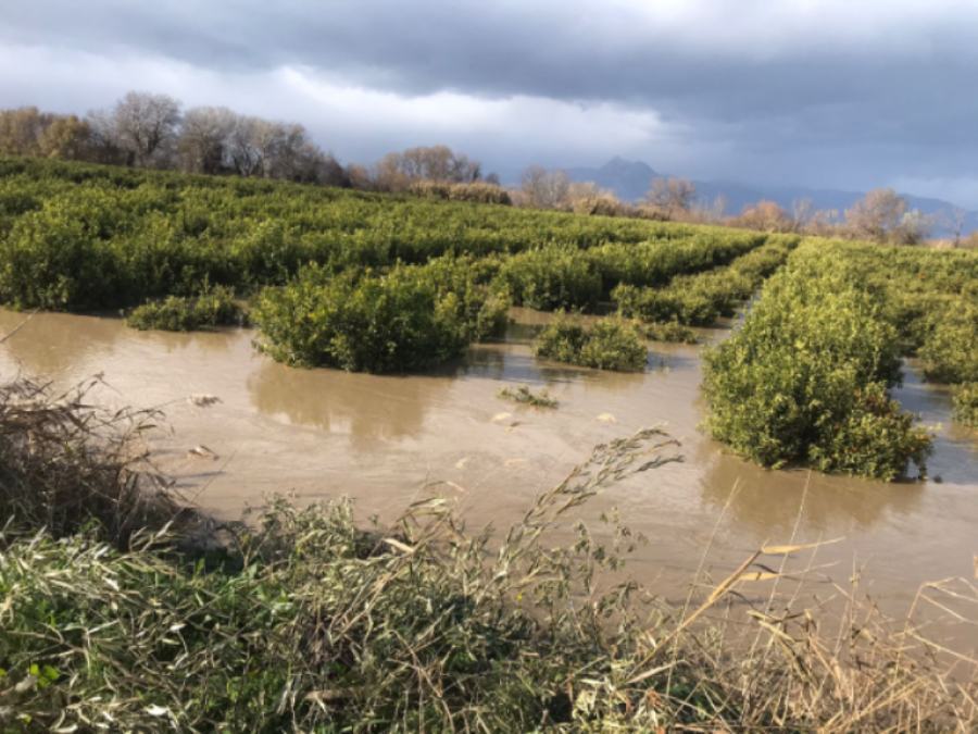Esondazione del Crati, Confagricoltura: "Una situazione che si ripete" 74 Corigliano Rossano 1