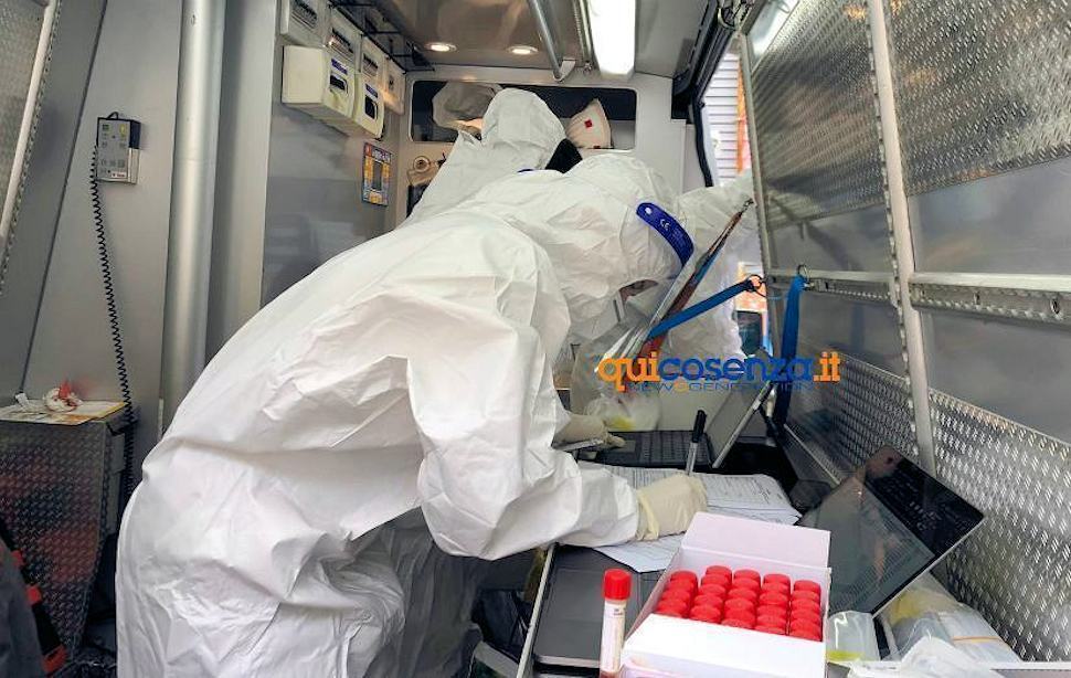 Coronavirus 113