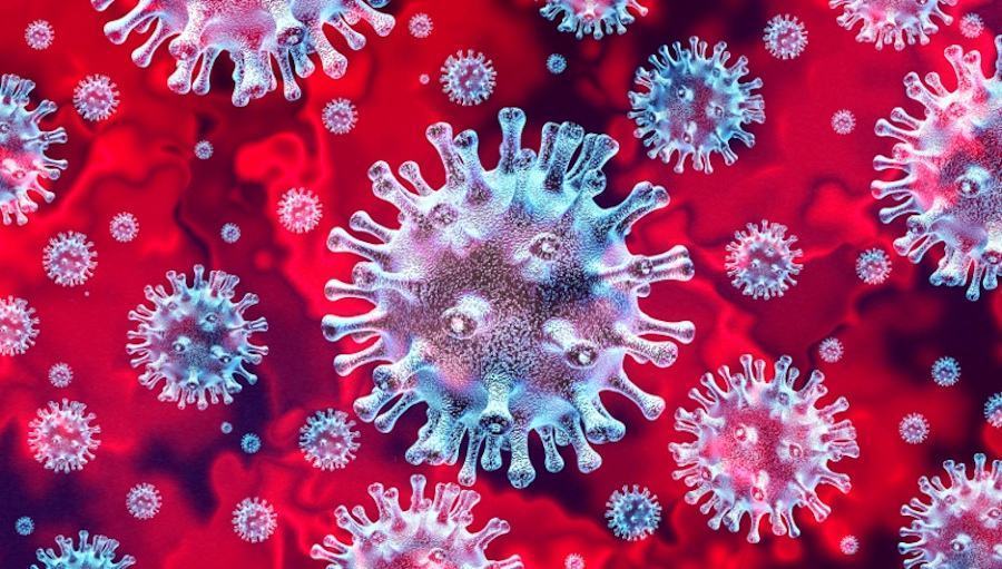 Cosenza, la commissione sanità ospita il prof. Bacco. Studioso degli anticorpi contro il Covid-19 53 Coronavirus 29