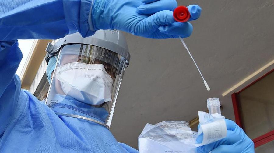Coronavirus tampone 1 6