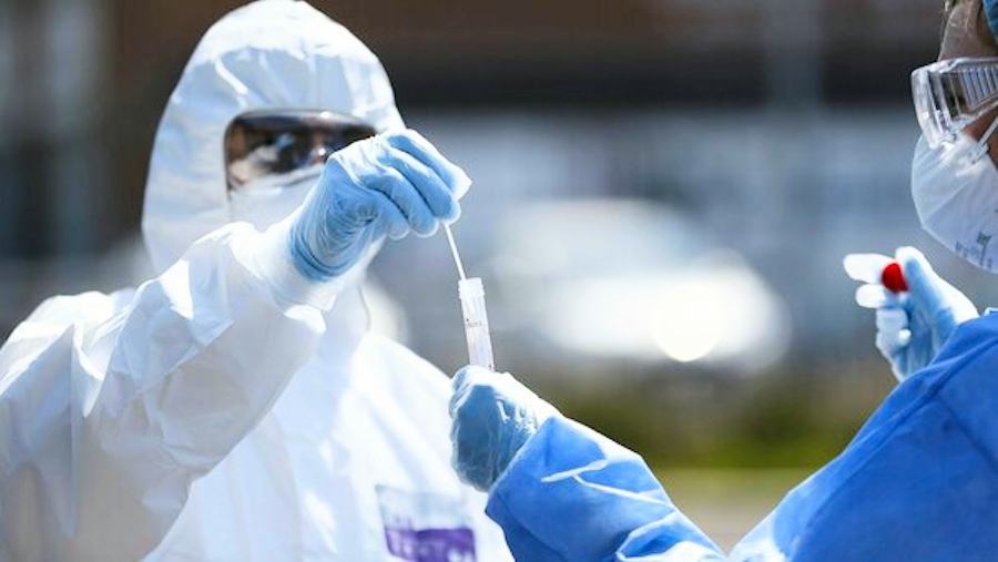 Coronavirus tampone1 1