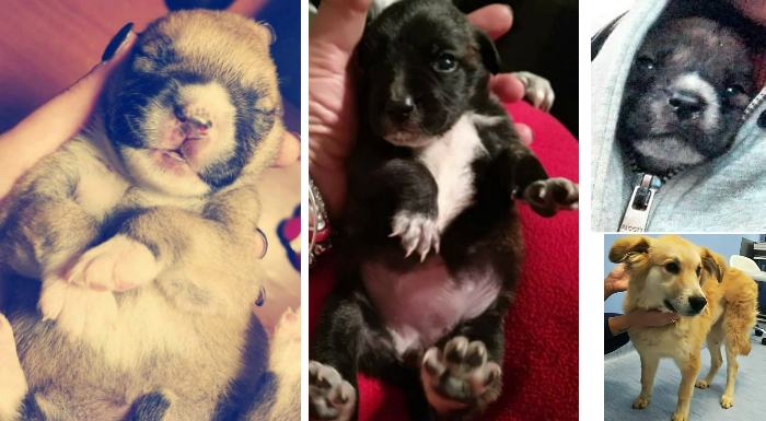 Creta Itaca Glauco e Briciola