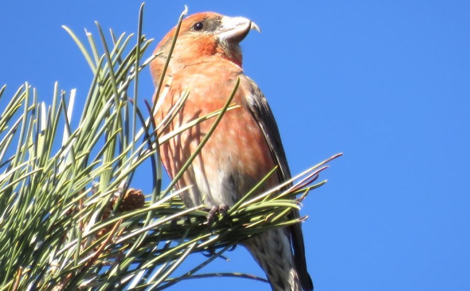 Crociere ph Gianluca Congi © Sila