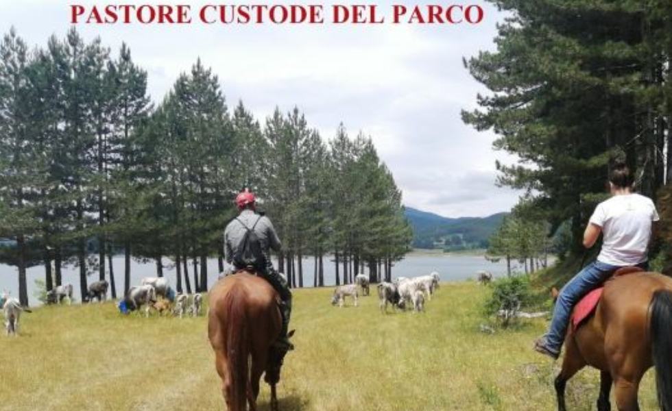 Cura e prevenzione 1