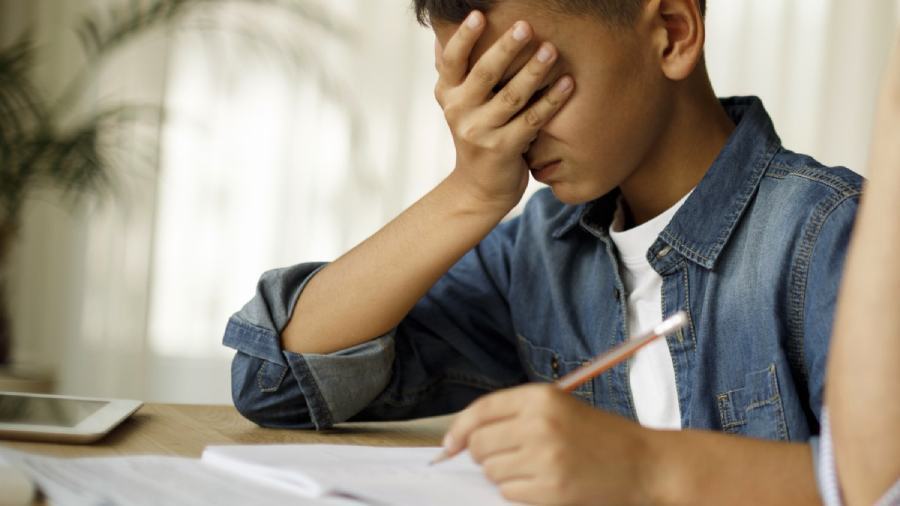 Regione, al via lavori su linee guida per i disturbi specifici dell'apprendimento 51 DSA disturbi specifici apprendimento