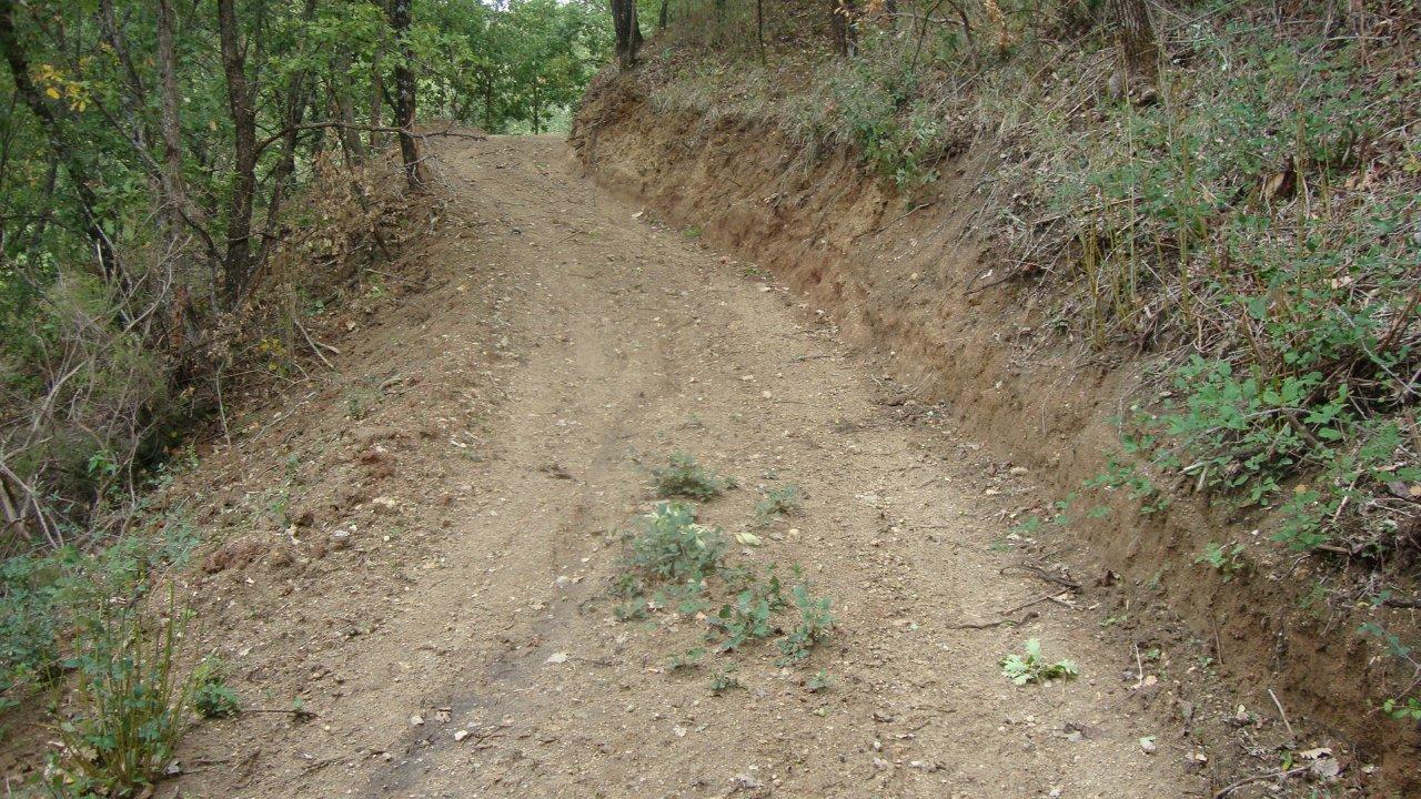 DSC06734