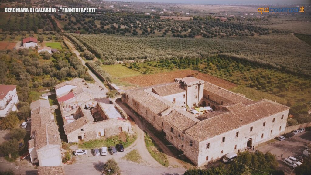 L'oro verde di Calabria coltivato, raccolto e spremuto nella piana di Cerchiara 1 DSC 0166.00 00 21 00.Immagine001