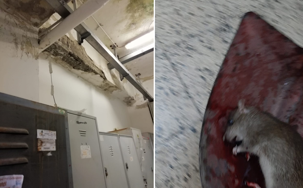 Sporcizia e topi nella sede dei vigili del fuoco di Catanzaro 51 Degrado sporcizia topi vigili del fuoco catanzaro 01