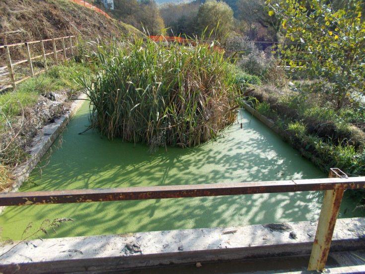 Sequestrato il depuratore di Fagnano in stato di completo abbandono (FOTO) 59 Depuratore Fagnano Castello 018