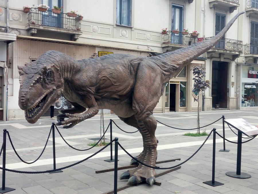 Dinosauro cosenza 2