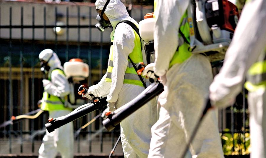Disinfestazione e derattizzazione Cosenza 1
