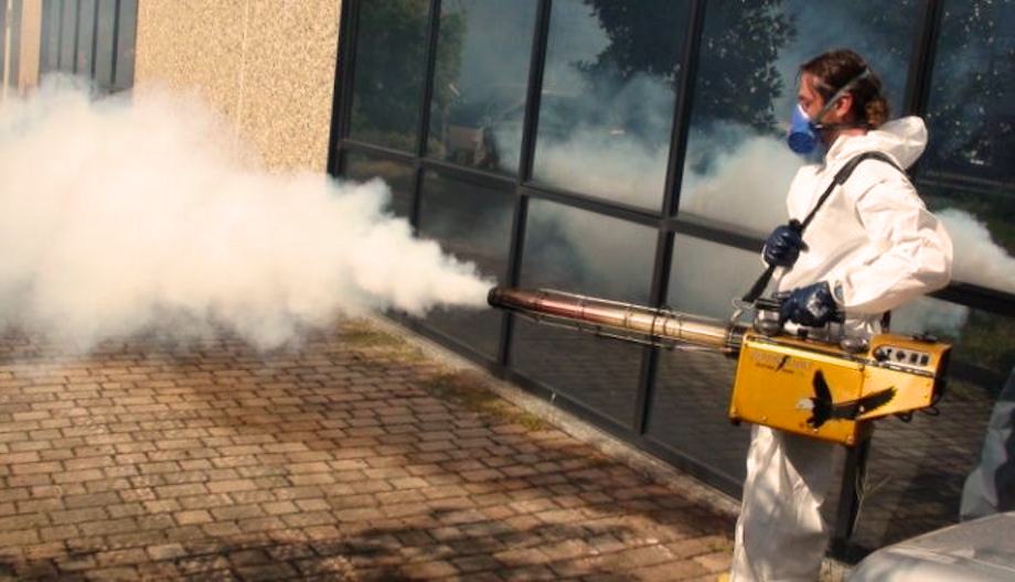 Disinfestazione e derattizzazione