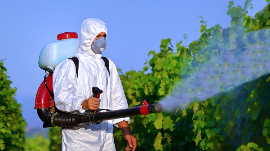 Disinfestazione e derattizzazione2