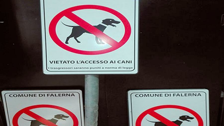 Falerna, un turista restituisce i cartelli divieto di accesso ai cani che aveva rimosso 53 Divieta ccesso cani Falerna