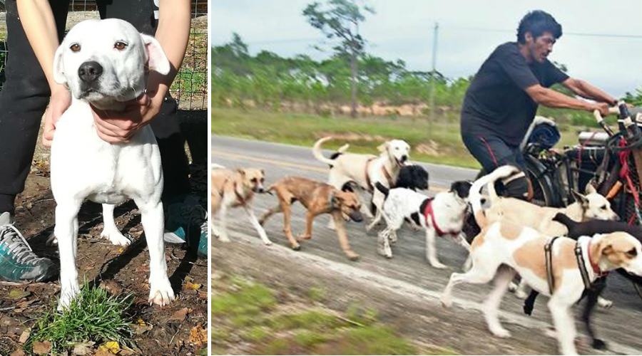 Dogo ed Edgardo Messico