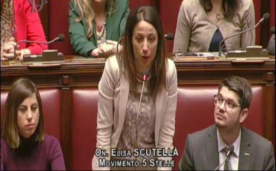 ELISA SCUTELLA CAMERA