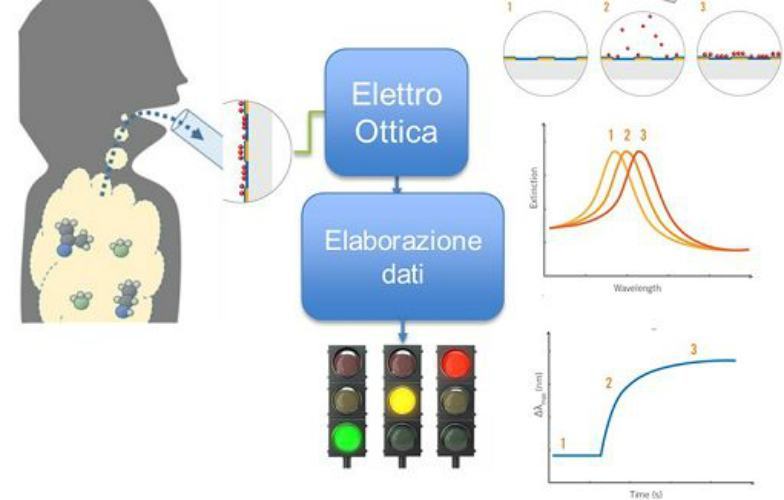 Coronavirus, da Enea test rapido col respiro: basta una cannuccia 62 Enea