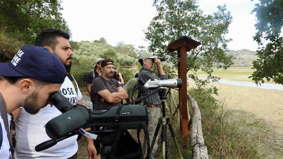 Eurobirdwatch 2018 Lipu Calabria 03