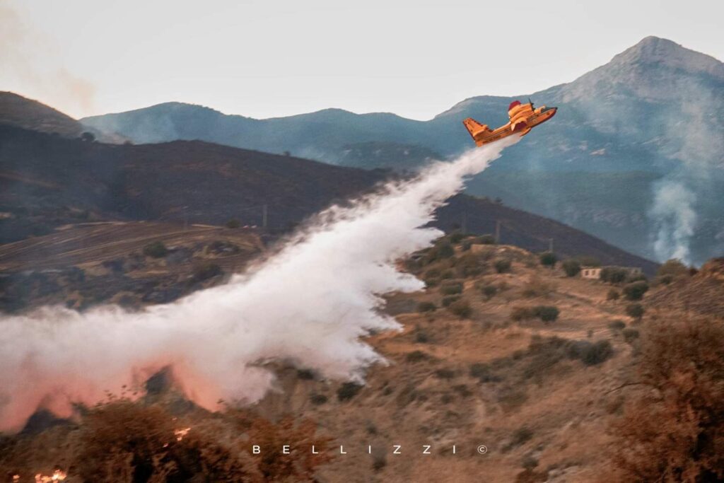 FB IMG 1564073528838