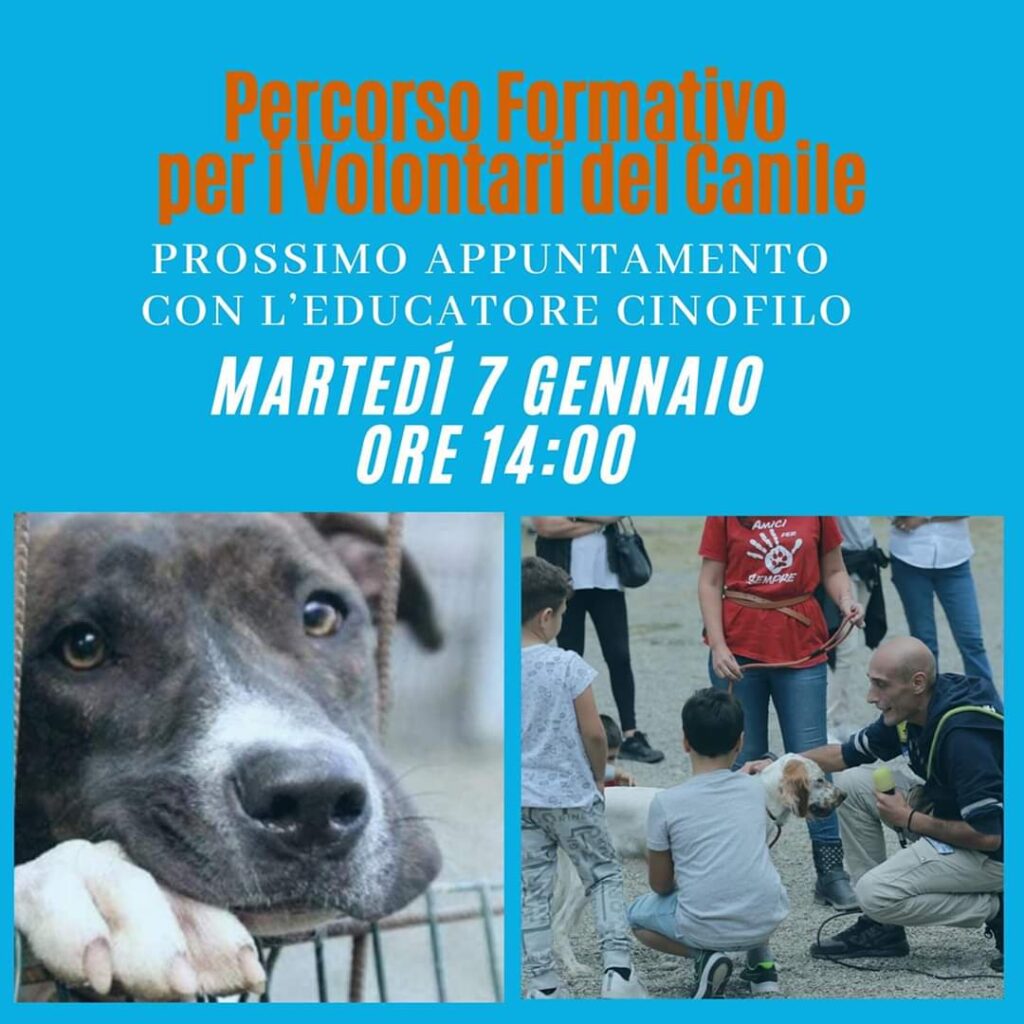 FB IMG 1578231559999