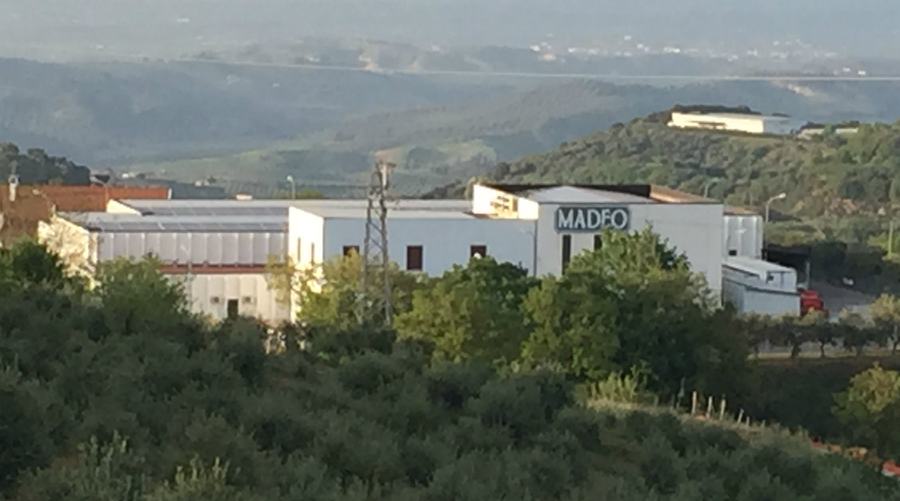 UniCredit e Madeo, siglata convenzione per supporto filiera agroalimentare calabrese 53 FOTO MADEO 3