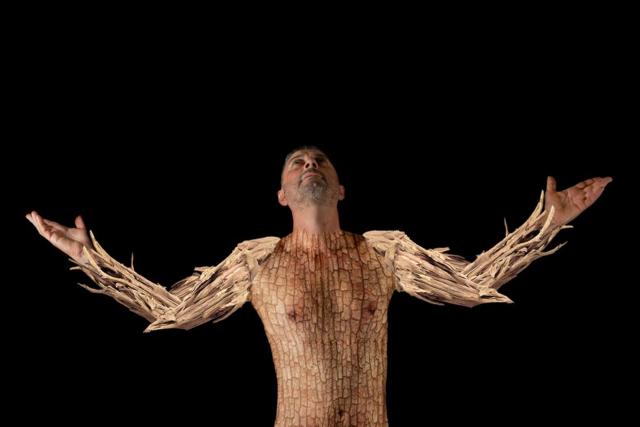 FRANCECSCO MURACA ALBERI Artwrok min