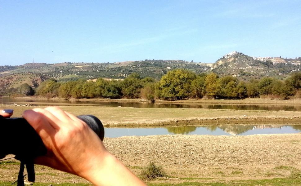 Family CAI Tarsia 02