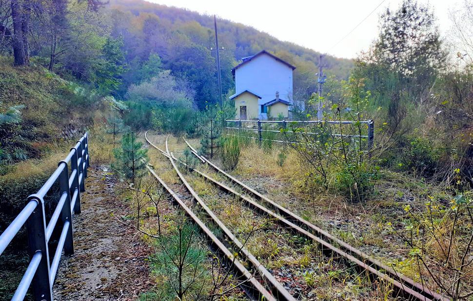 "Lavori interminabili sulla Statale 107 Silana-Crotonese, ripristinare tratto ferroviario" 51 Ferrovia della Sila