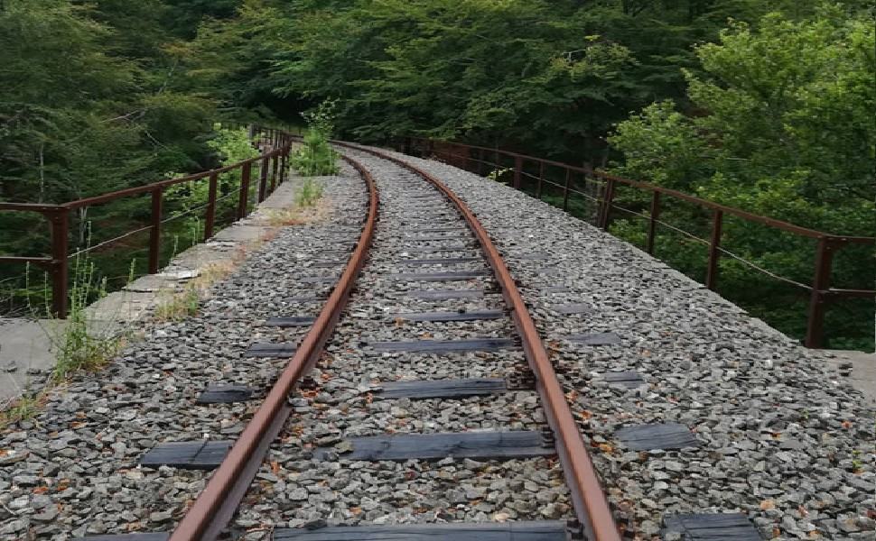 "Ripristinare il tratto ferroviario Cosenza-Pedace-Spezzano Sila per il servizio ordinario" 51 Ferrovie Fondente Croce Magara 3 M 1