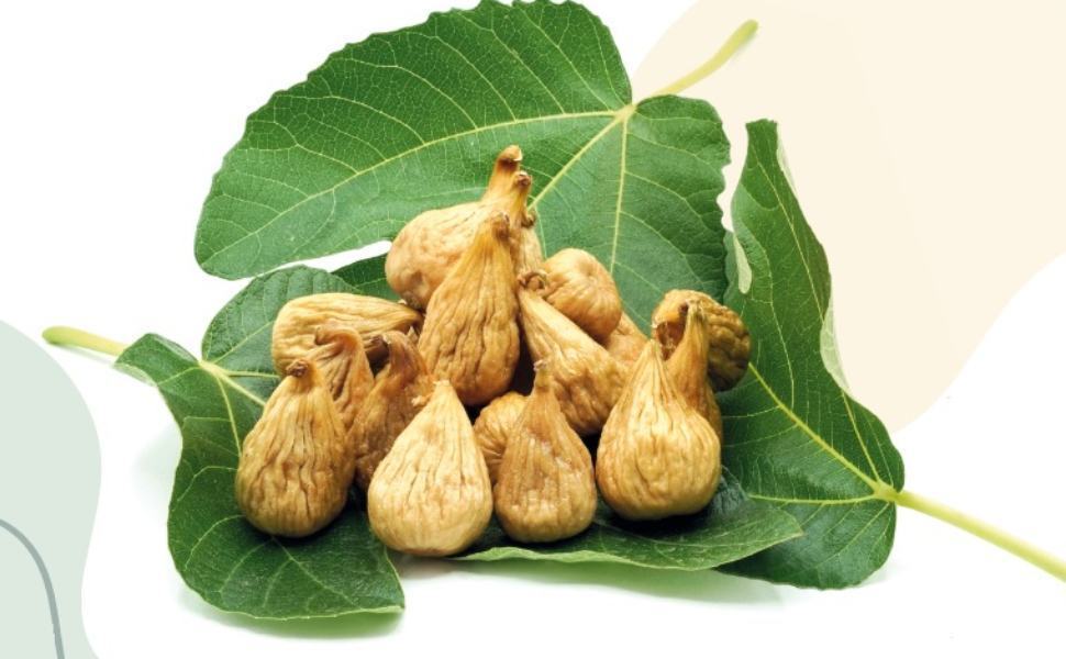 Fichi Festival 17 e 18 settembre 2022