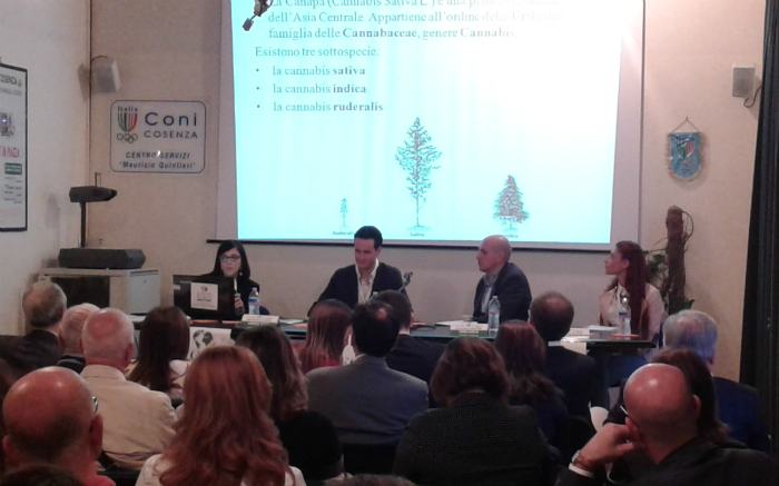 Food For World Romio 001