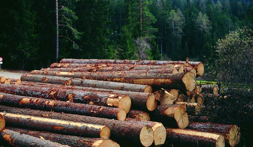 "No" alla demonizzazione di stufe e caminetti a legno: soluzioni più pulite ed efficienti 53 Legno